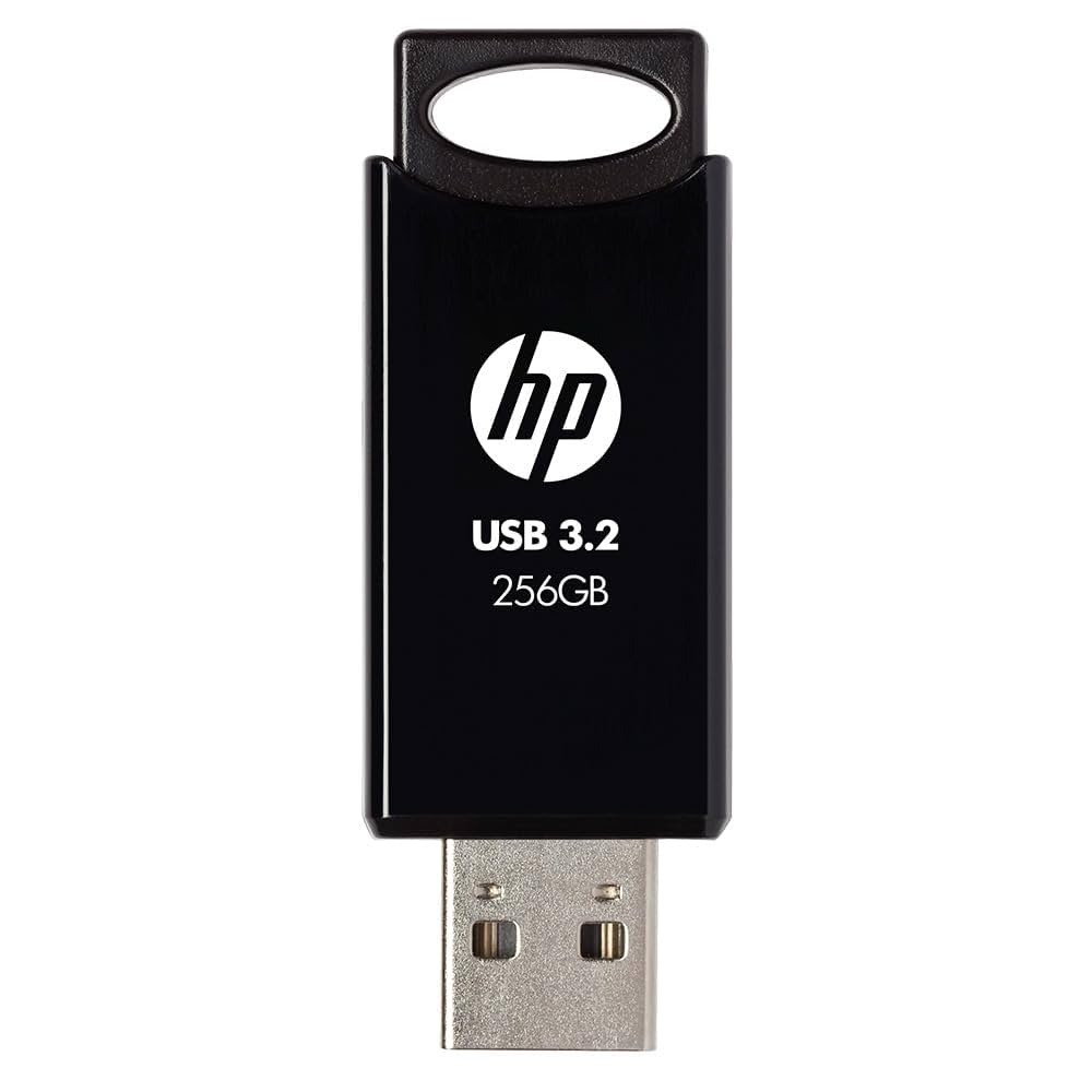 HP 256GB USB FLASH DRIVE [USB 256GB-10]