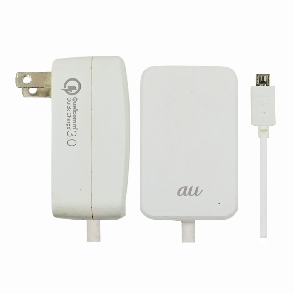 QUALCOMM 3.0 QUICK CHARGER (SHOW FAST MESSAGE) (MICRO) [CH LOT MICRO]